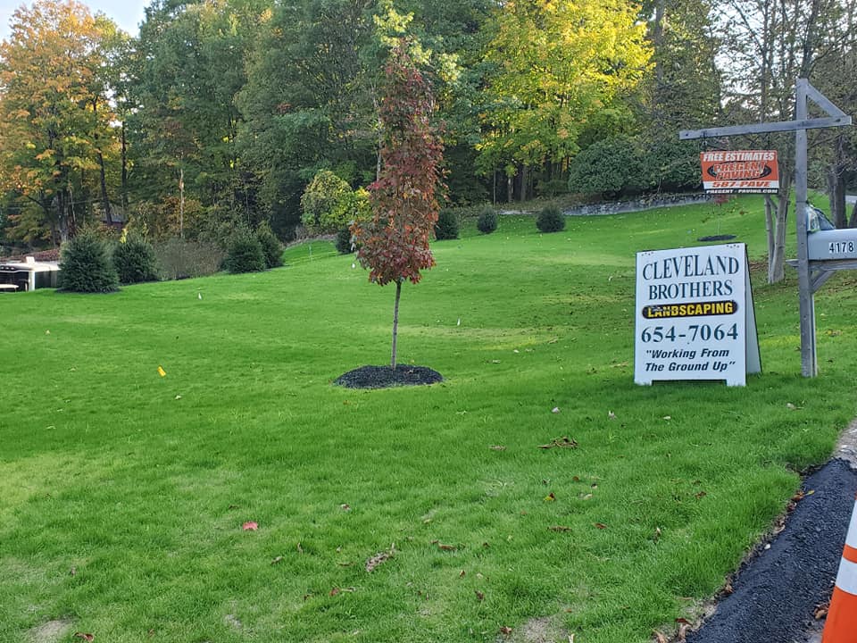 Landscaping services