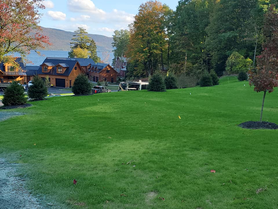 Lawn Maintenance