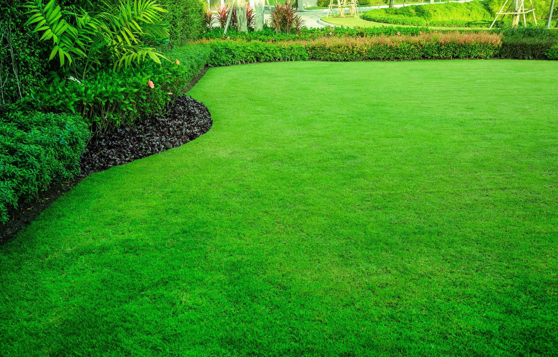Residential lawn maintenance