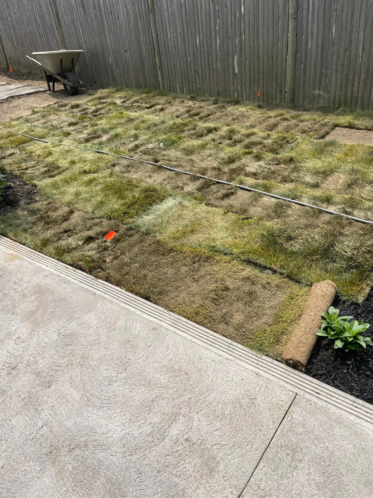 Yard with patchy grass, wheelbarrow, and concrete patio.