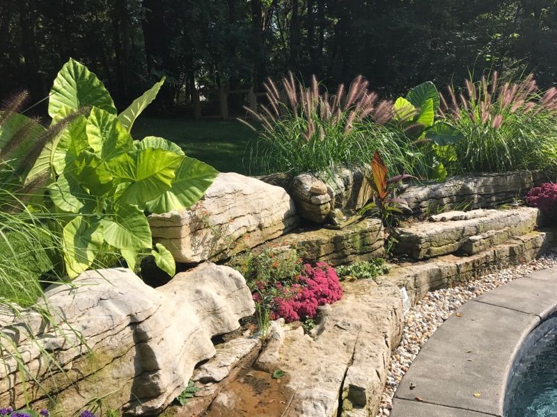 a garden with rocks and plants next to a pool