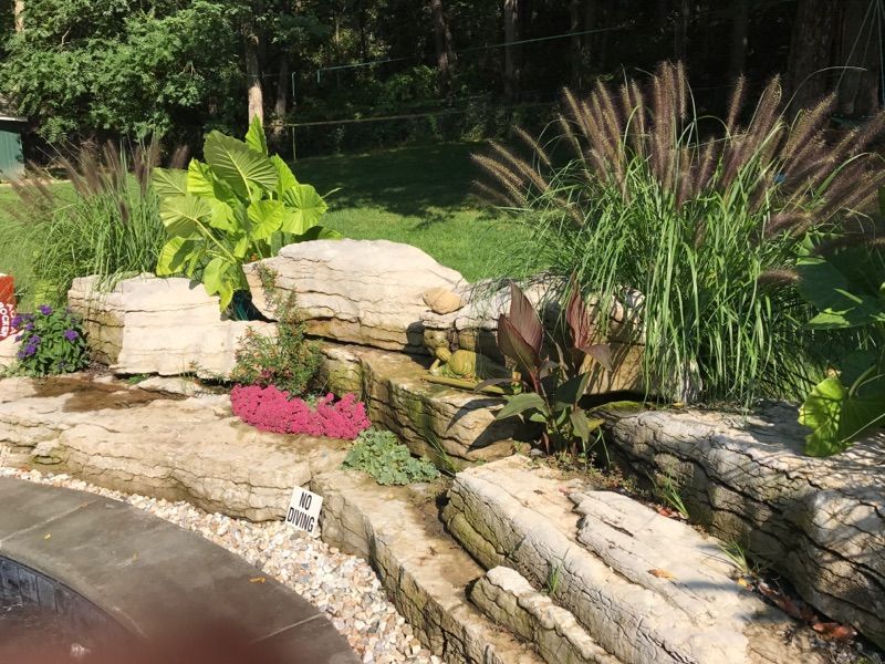 a lush green garden with rocks , plants and flowers .