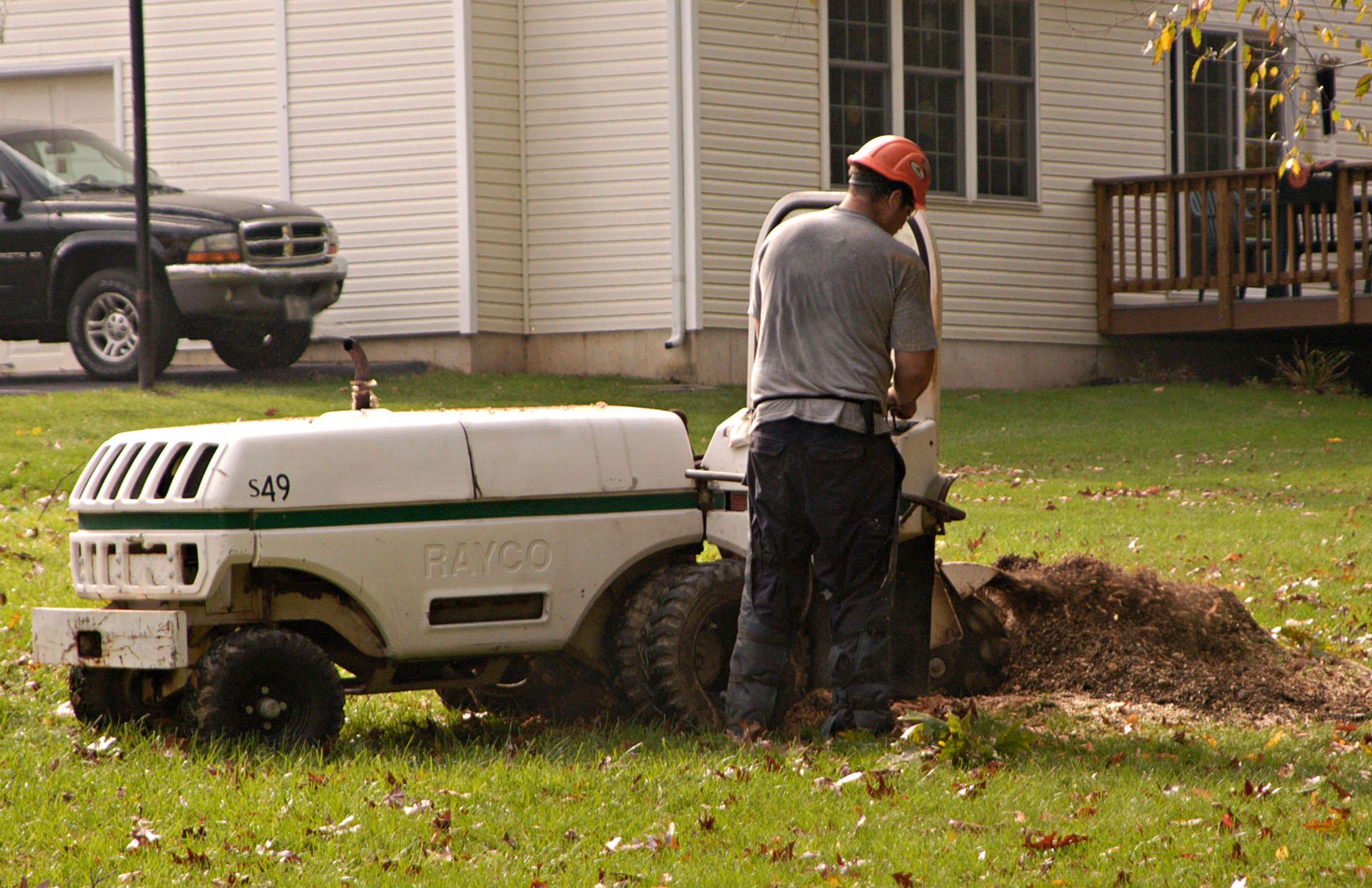  local stump grinding