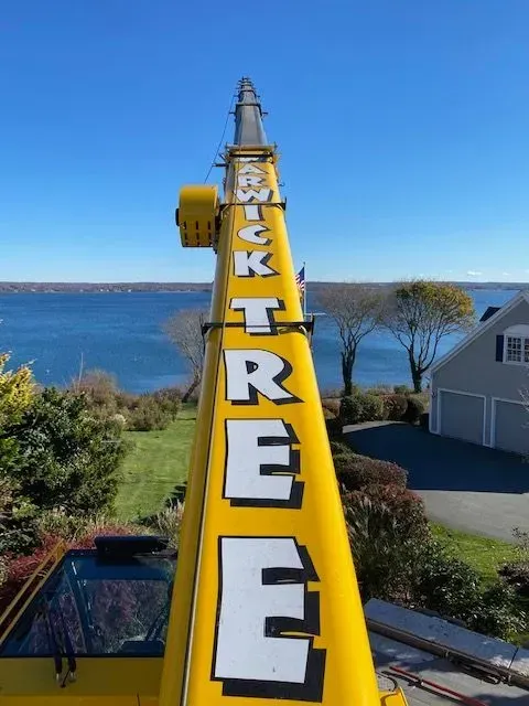 Yellow crane boom with "WICK TREE" logo, blue sky, water, and houses in background.