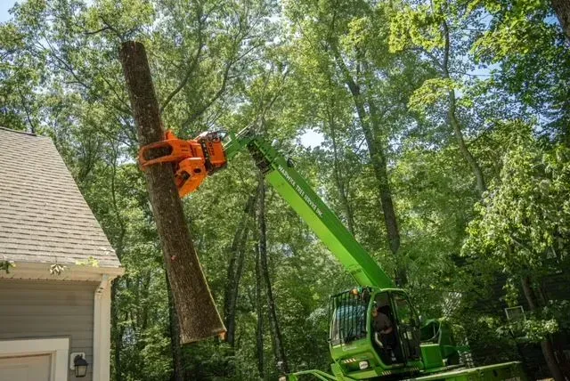 A tree trunk is cut by an orange machine attached to a green lift near a house and trees.