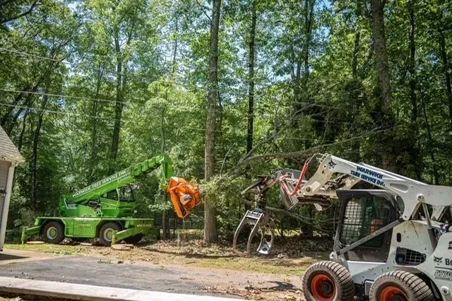 Green tree-cutting crane and white skid steer removing a tree in a wooded area.