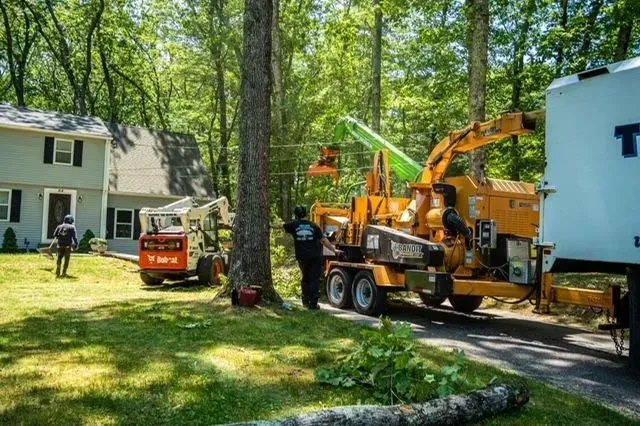 Tree service crew removing tree limbs with a chipper and small truck near a house.