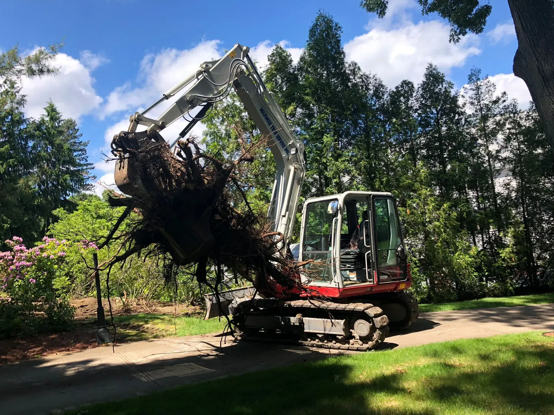 Excavator lifting large tree roots, green foliage, and blue sky.