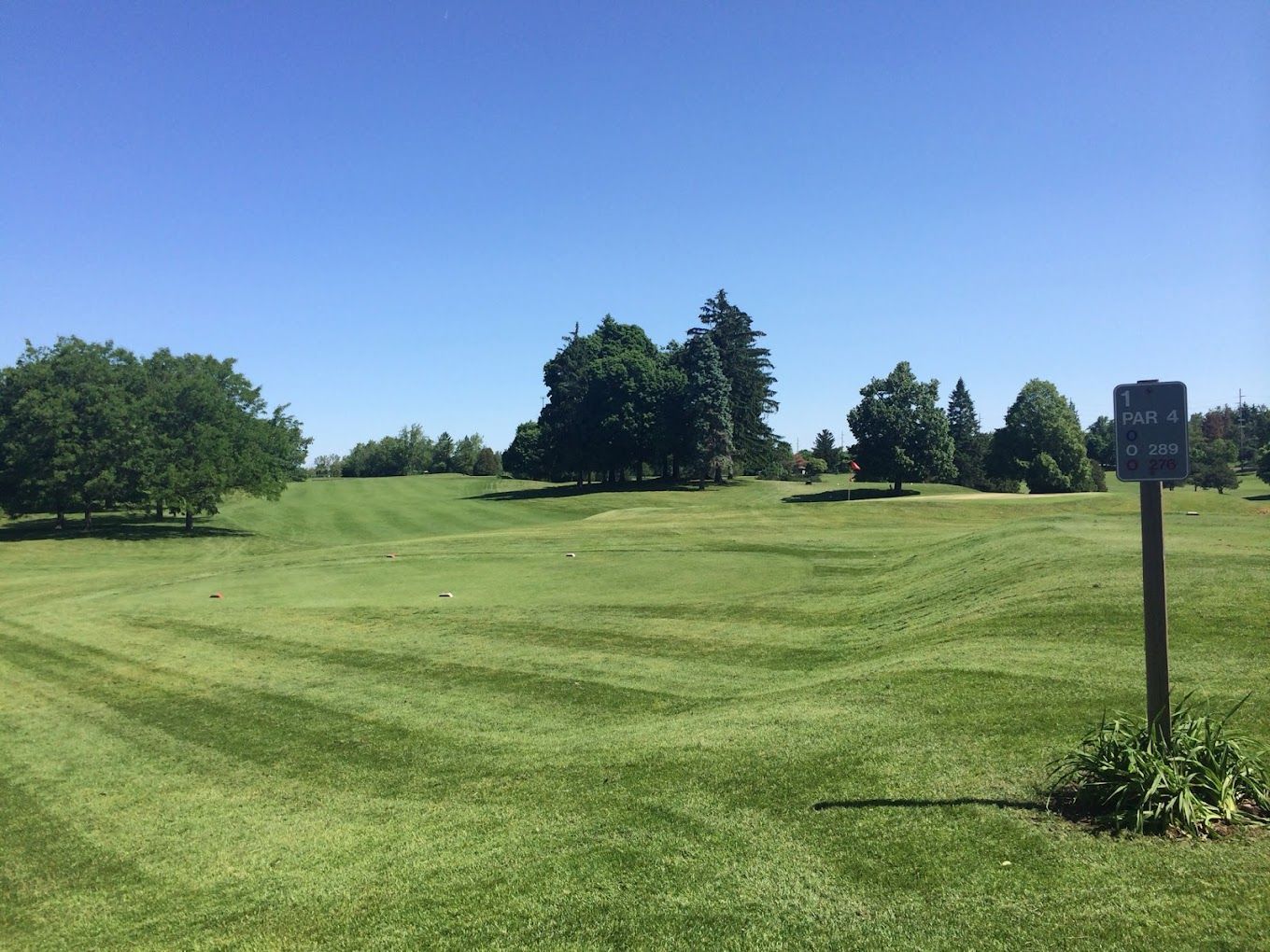 A brick walkway leading to a house surrounded by flowers and bushes.