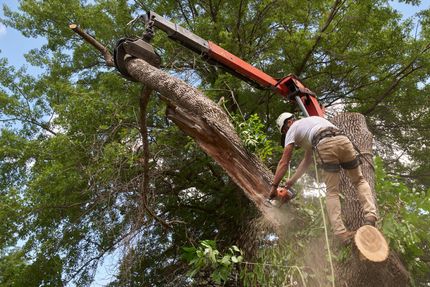 Greene Property Maintenance