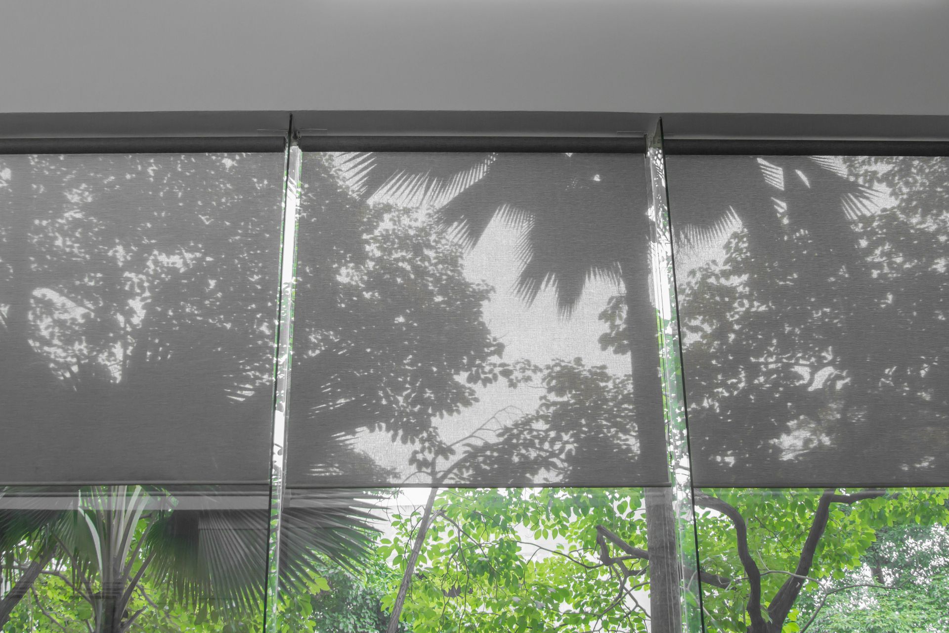 A horizontal row of dark grey roller shades partially pulled down over a window with a lush green, leafy tree view.