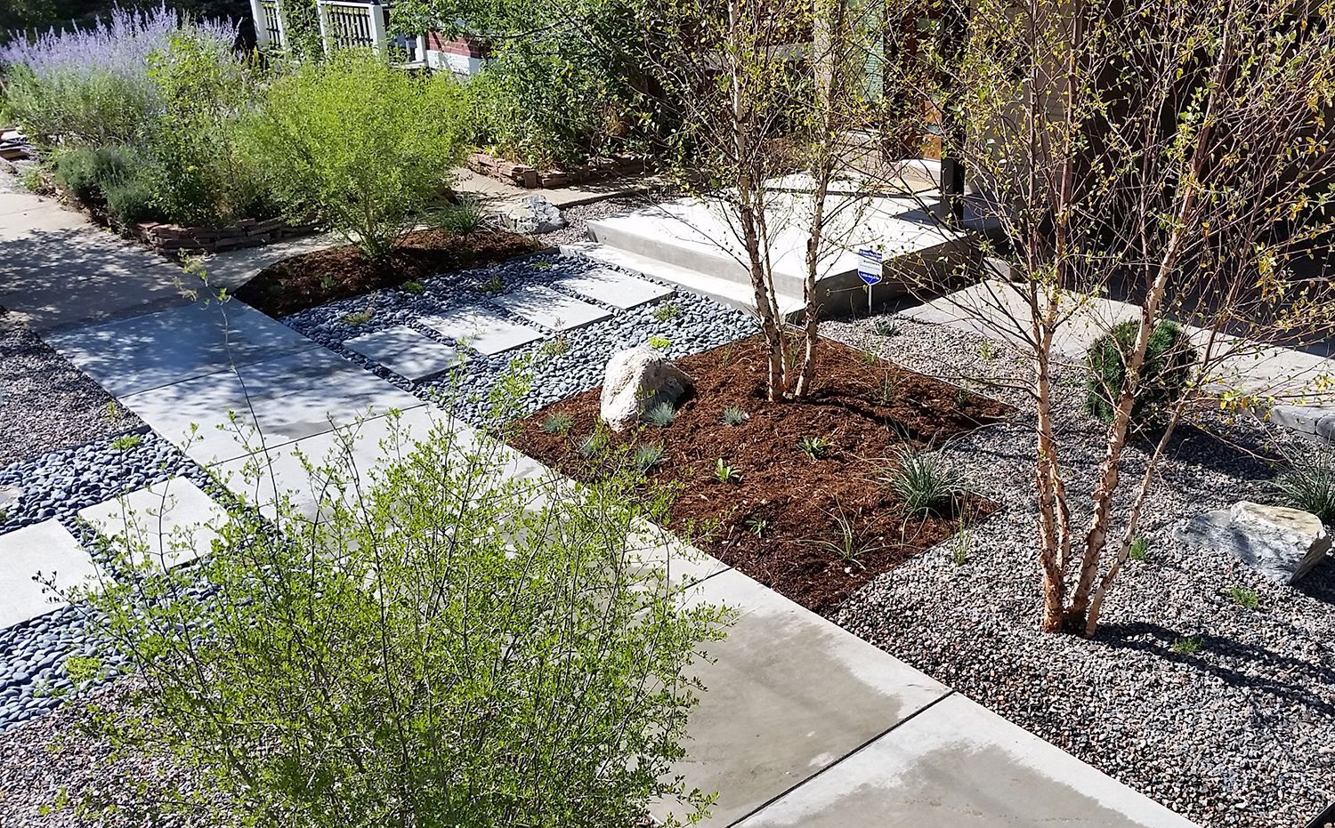 A landscape garden featuring concrete slab paths, grey stone borders, mulch-covered plant beds, and several small trees.
