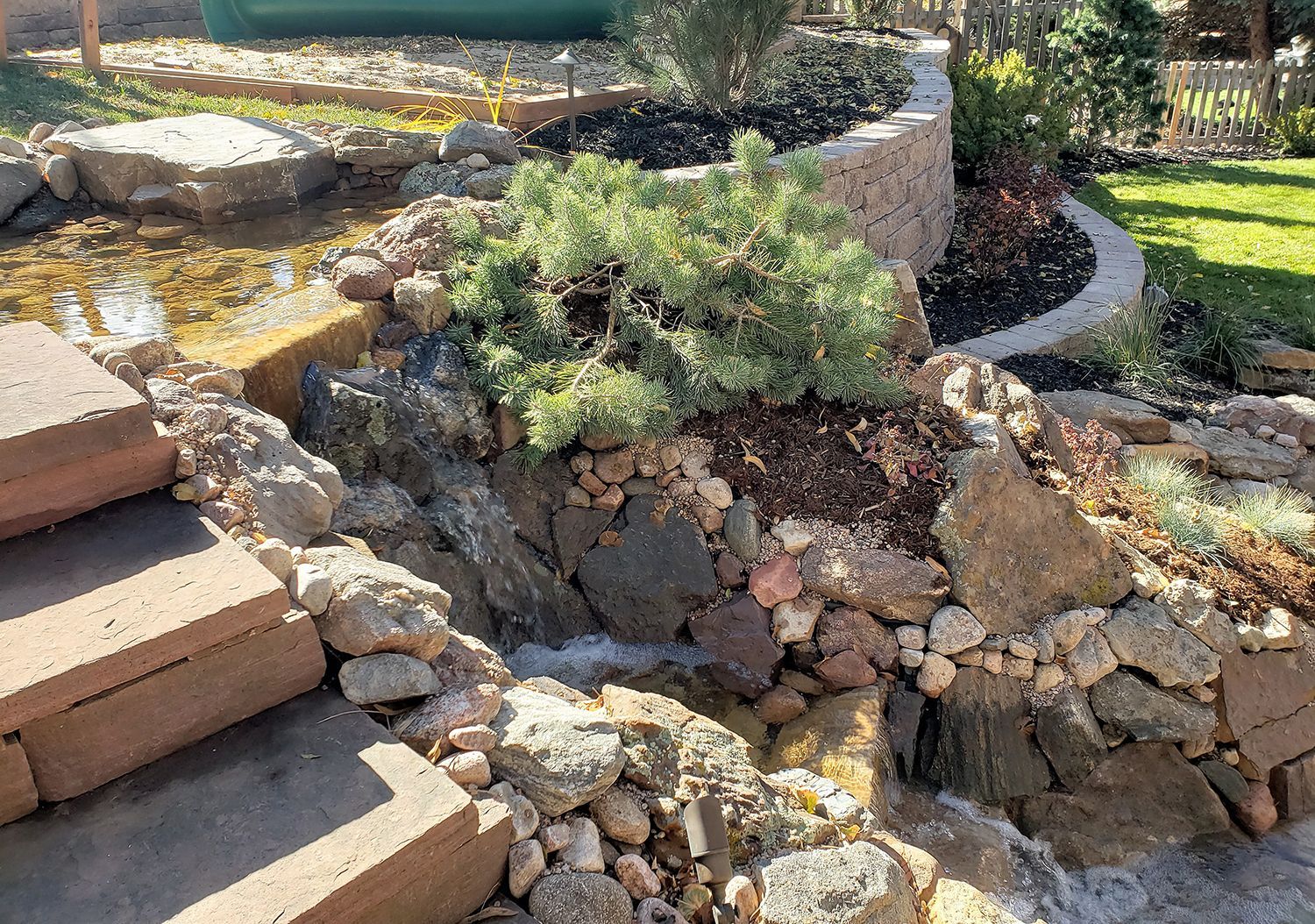 A tiered garden with a stone waterfall, dark mulch, a small evergreen shrub, and concrete steps in the foreground.