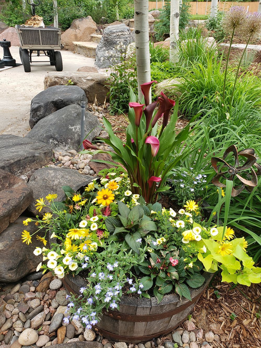 A large wooden planter filled with dark purple calla lilies, yellow daisies, and blue lobelia, situated in a garden.