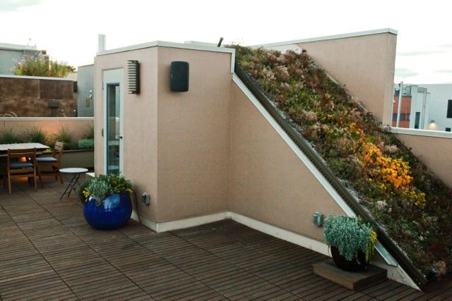 A rooftop deck with wooden tiles, outdoor seating, a blue planter, and a slanted roof section covered in green vegetation.