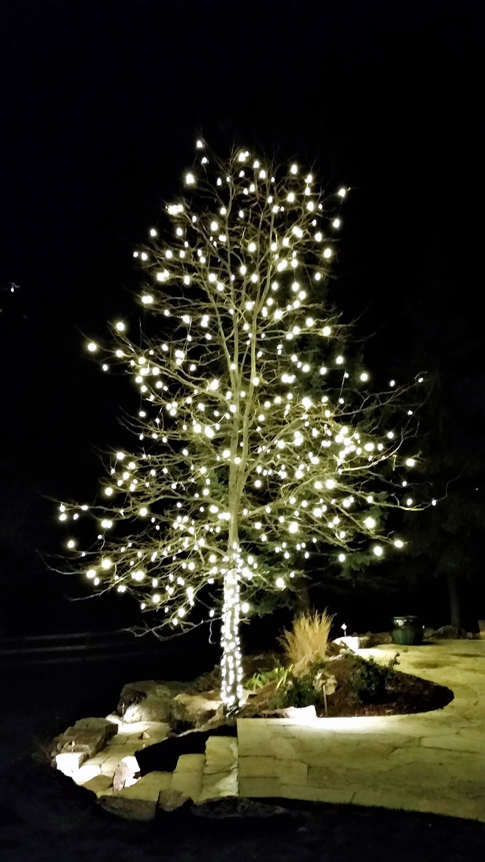 A leafless tree at night illuminated by hundreds of glowing white string lights, set on a stone patio with landscape lights.