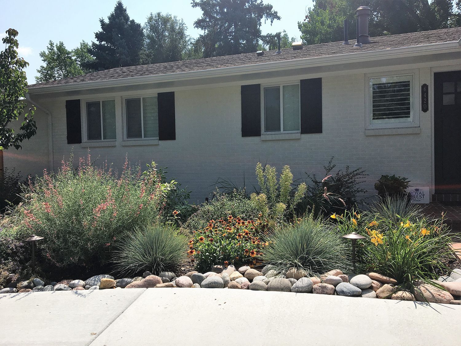 A single-story white house with black shutters, featuring a garden filled with varied plants and river stones in the front.