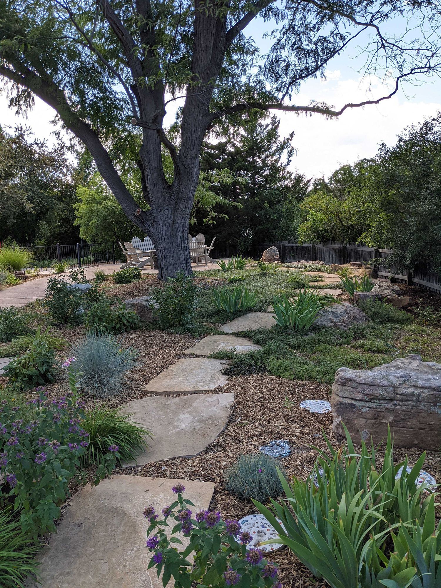A stone path leads through a mulched garden towards a large tree with rustic wooden seating underneath.