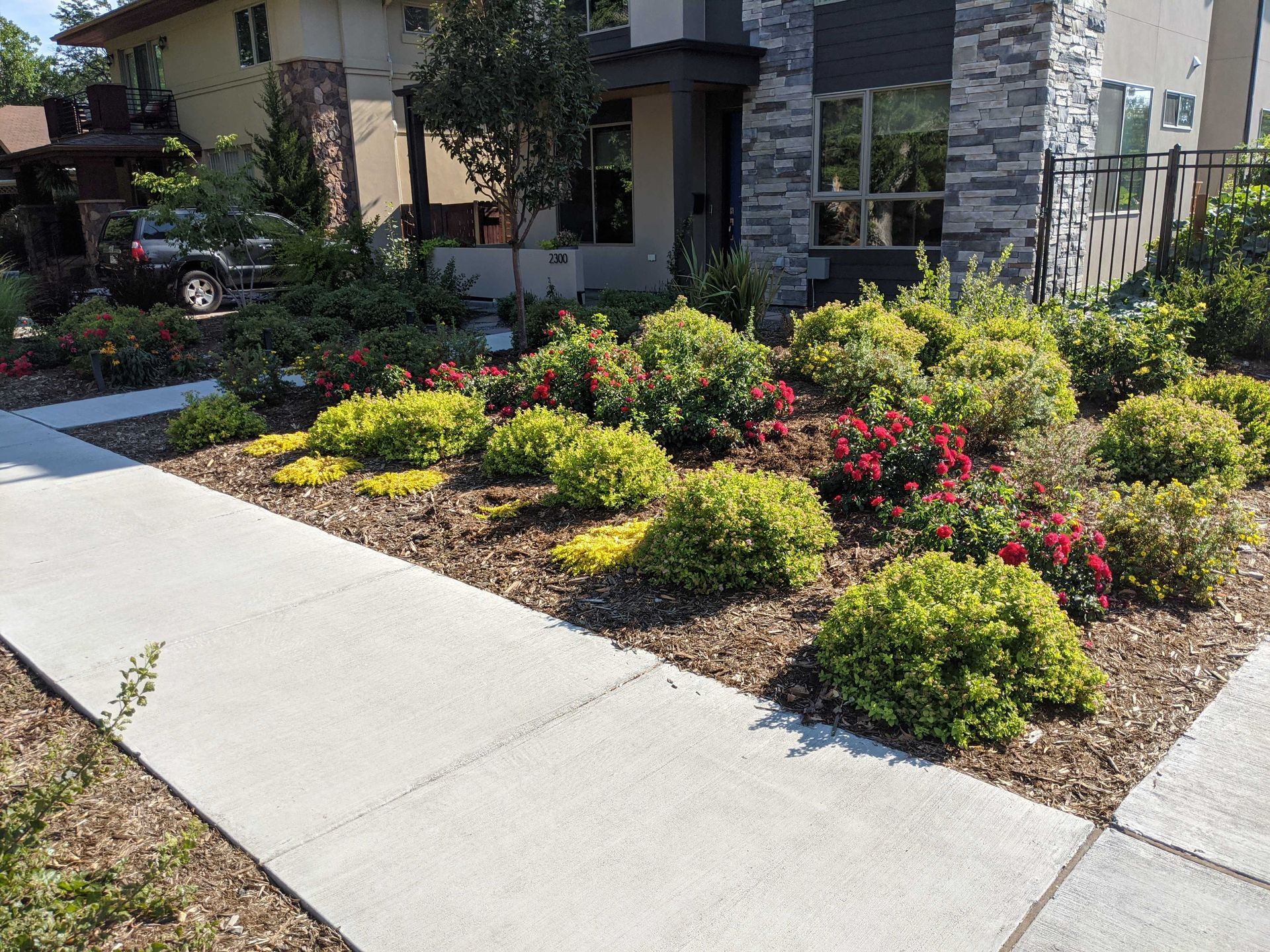 Landscaped front yard with green and red flowering bushes, mulch, and a concrete sidewalk.