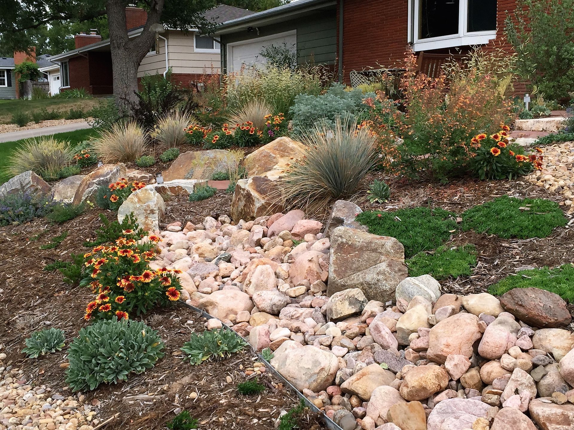 Rock garden with various plants and small orange flowers.