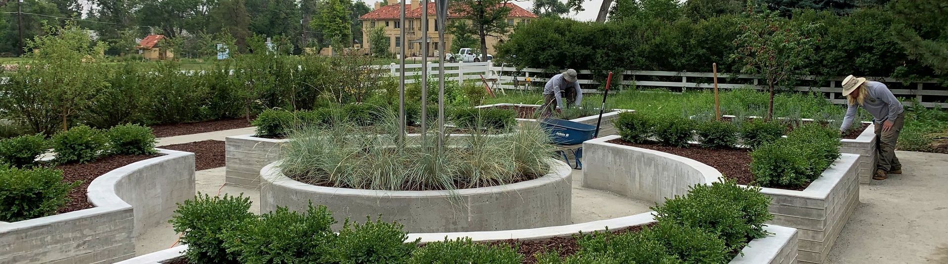 A garden with curved concrete planters, shrubs, and two people tending plants.
