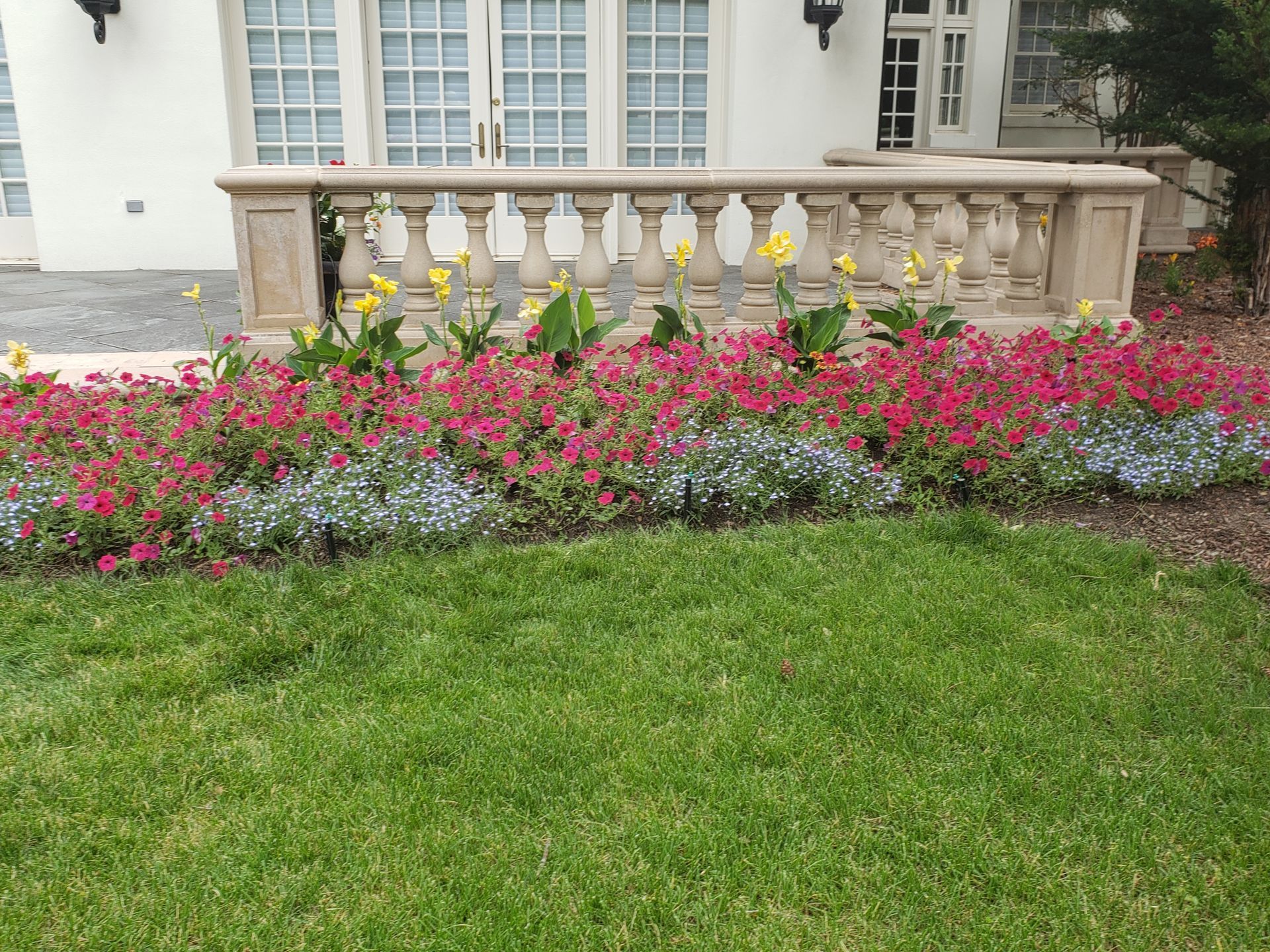 Red, blue, and yellow flowers in a garden bed in front of a stone railing and grass lawn.