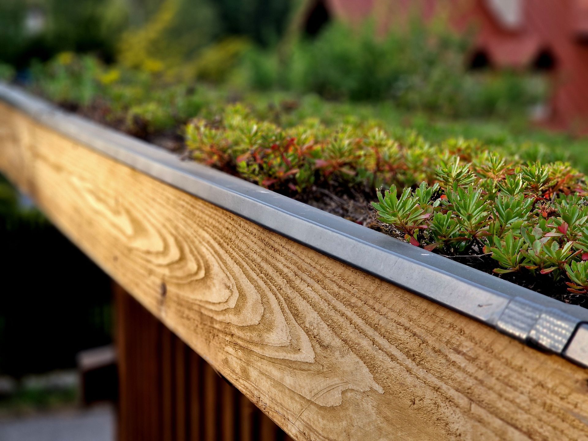 A wooden planter box filled with green sedum succulents, mounted on a railing with a blurred garden background.