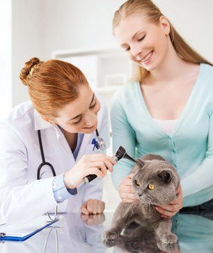 Pet checkup