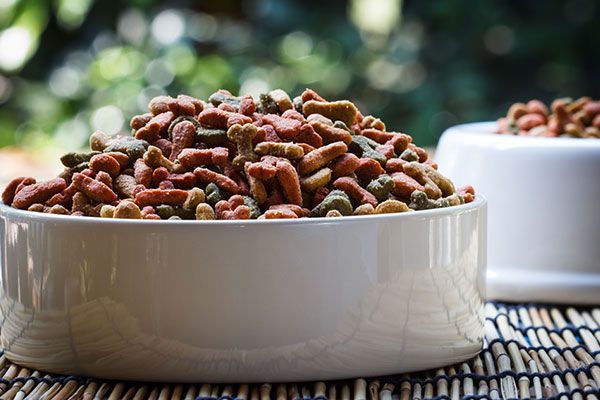 Two bowls of dog food are sitting on a table.
