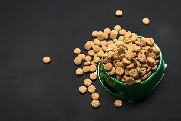 A green bowl filled with dog food on a black background.