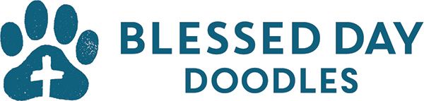 Blessed Day Doodles - Logo