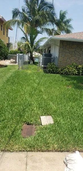 Grassy backyard with palm trees and a house beside a paved patio.