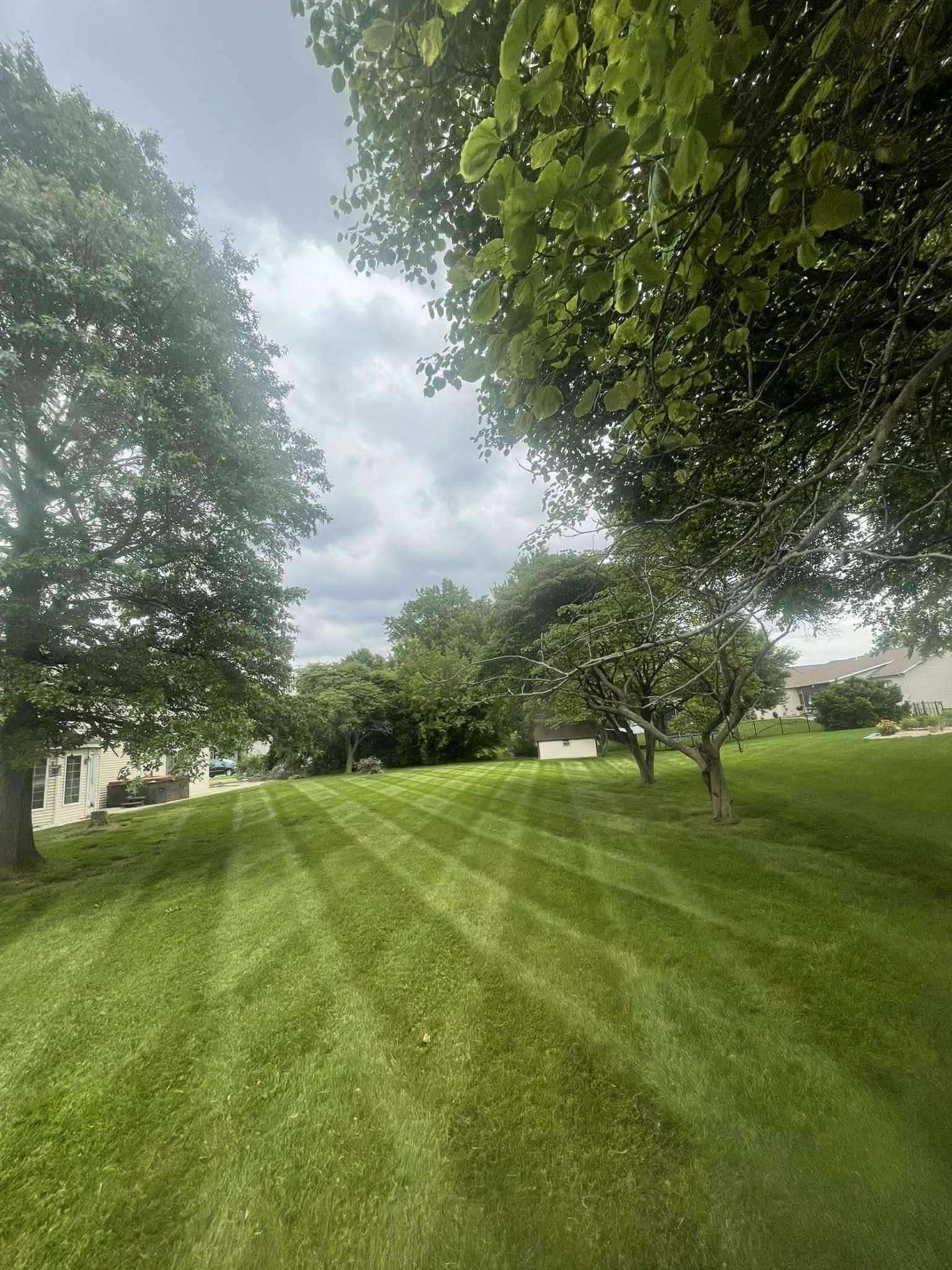 A freshly mown lawn with striped patterns, framed by mature trees under a cloudy, overcast sky.