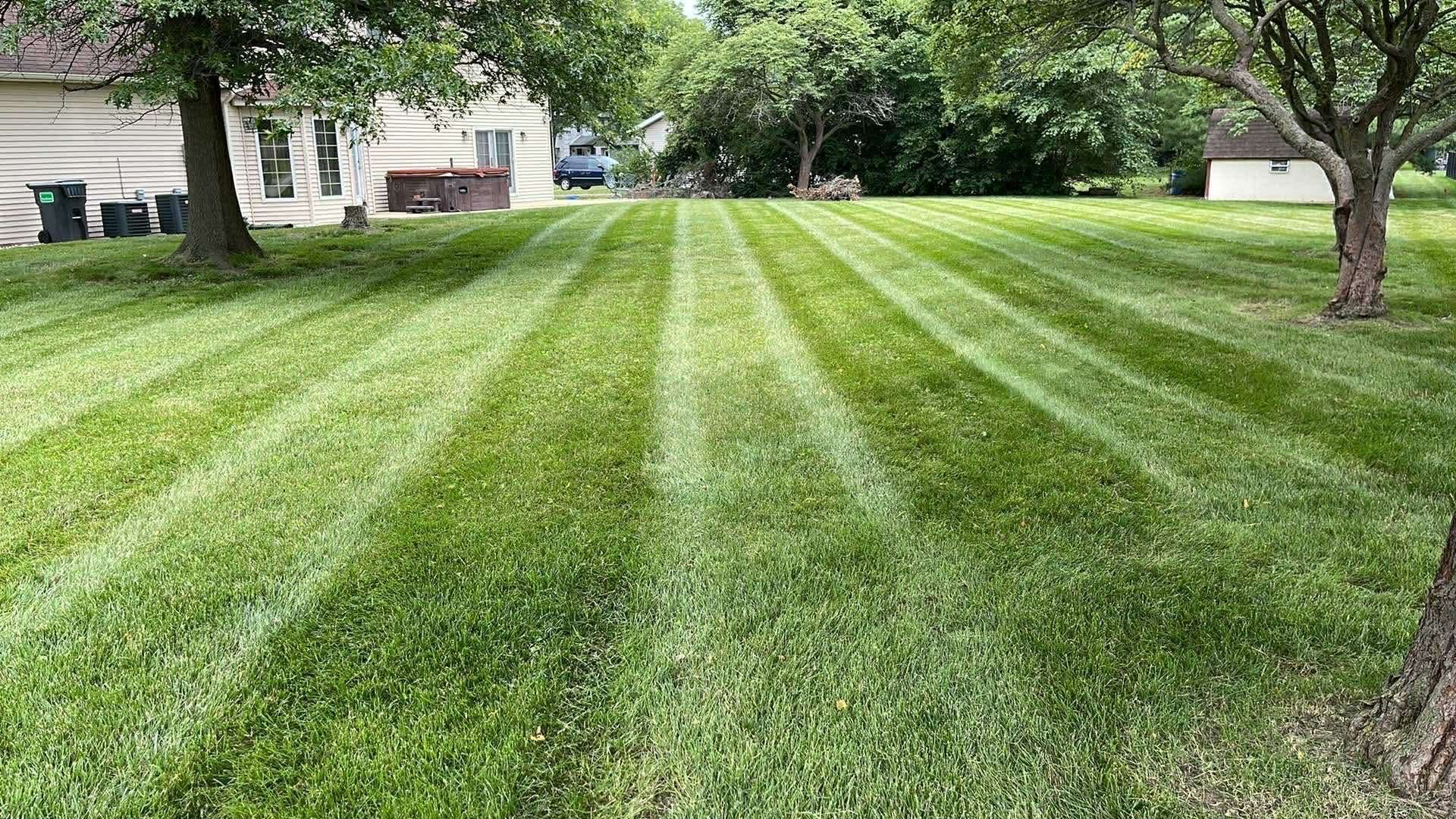 A lush green lawn with freshly mowed, alternating light and dark grass stripes stretching across a sunny backyard.
