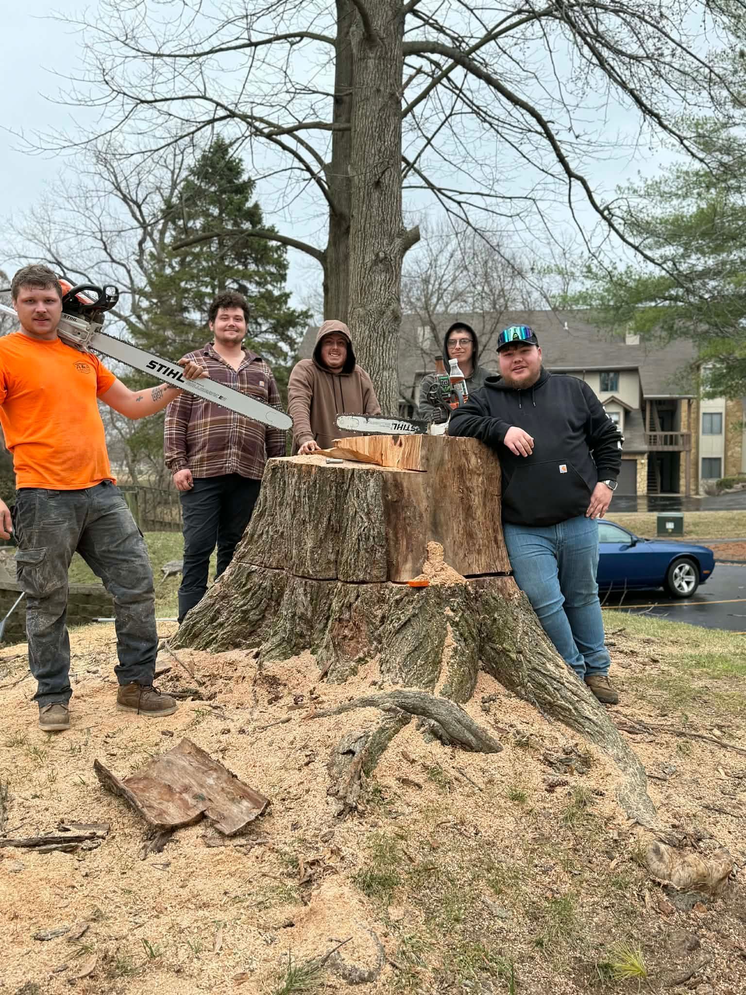 Five people stand around a large tree stump in a yard; one holds a chainsaw while another rests on the wood.