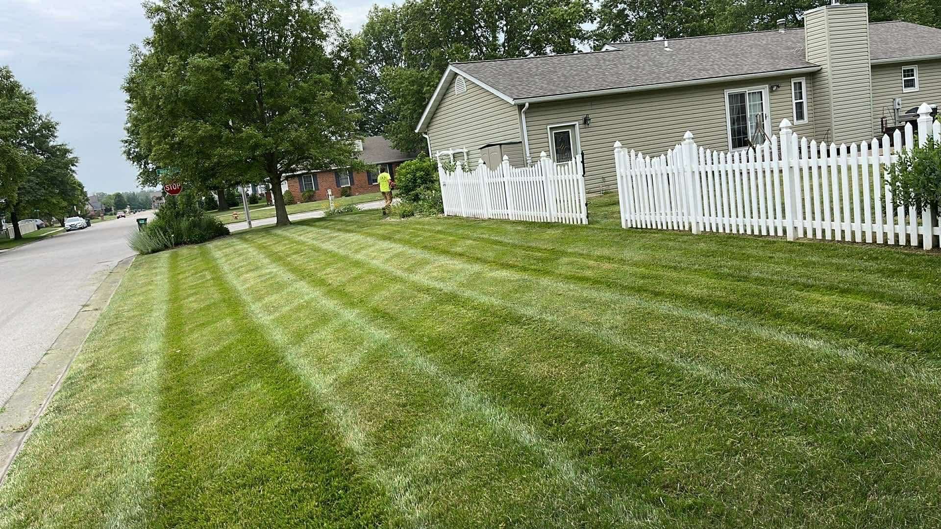 A freshly mown suburban lawn with prominent grass stripes next to a street, a white picket fence, and a house.