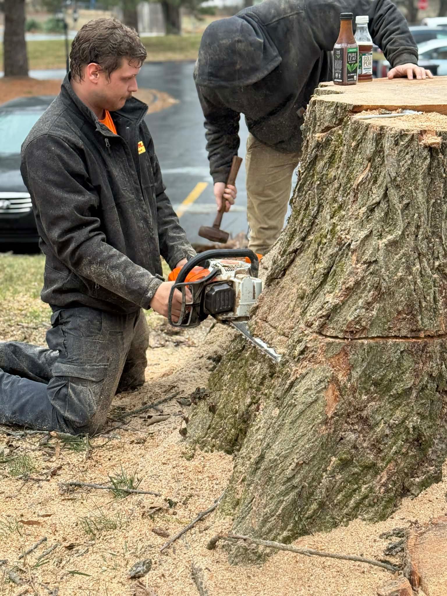 A person kneeling uses a chainsaw to cut a large tree stump while another person works nearby with a mallet.