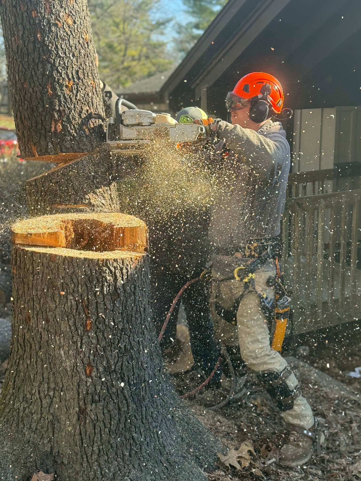 A person wearing safety gear and an orange helmet uses a chainsaw to cut down a tree, surrounded by flying wood chips.