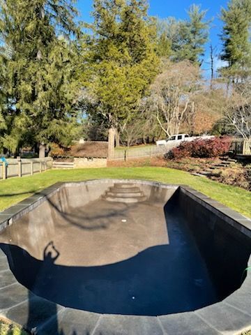 An empty swimming pool in a backyard with trees in the background.