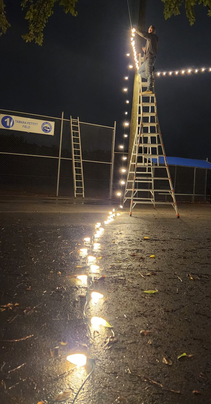 String lights illuminate a pathway at night. A ladder stands against a tall structure; a person is on it.