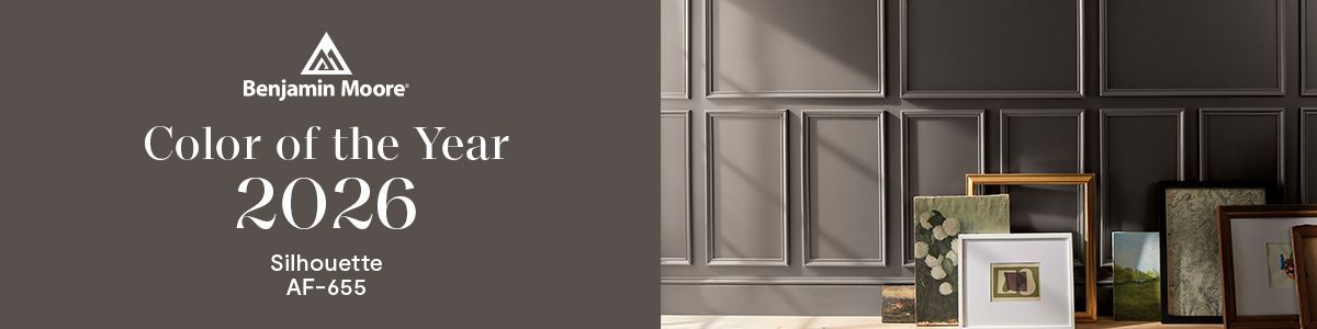 Benjamin Moore's 2026 Color of the Year Stratus. The image features a gray wall with framed art and color sample.