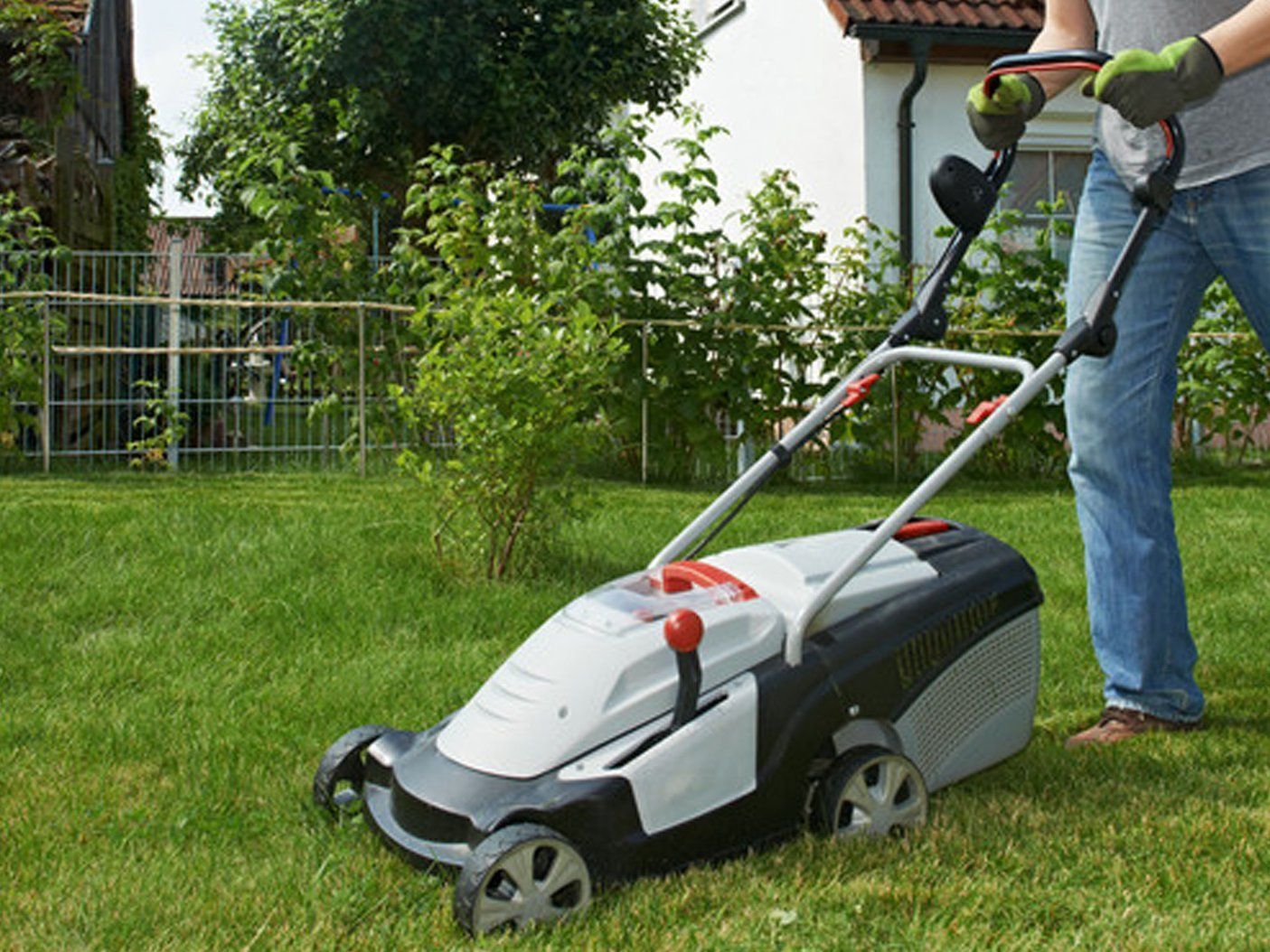 Lawn