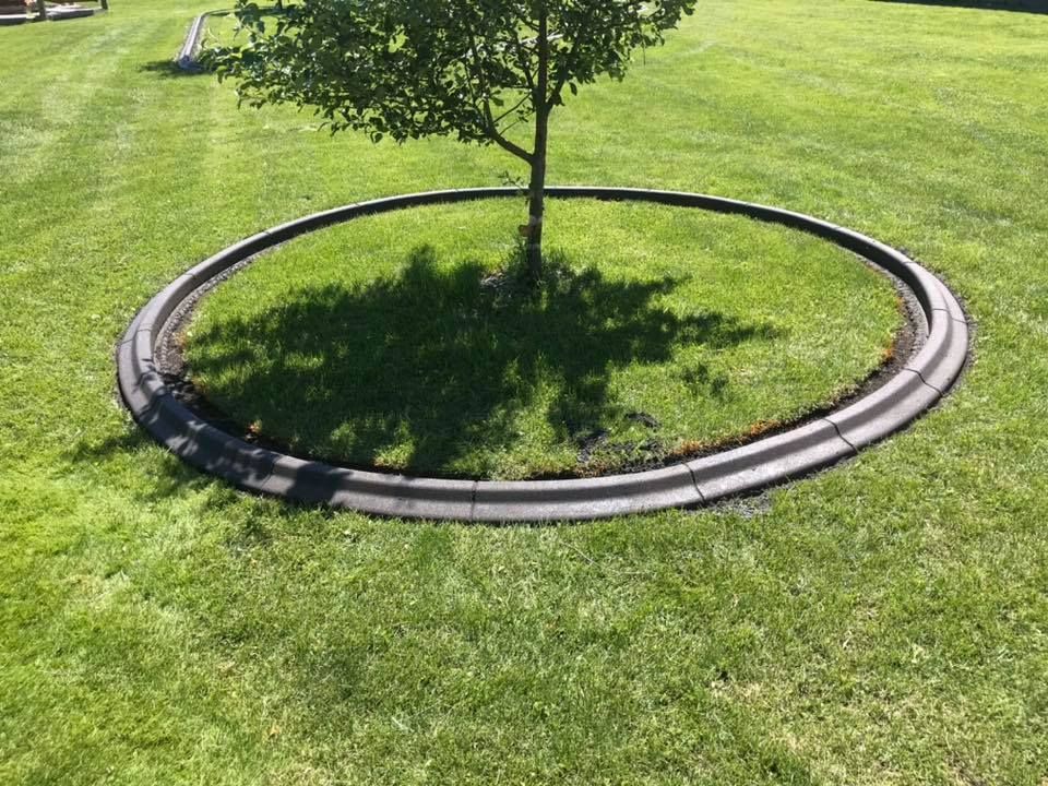 Circular tree ring border in a green grassy yard. A young tree sits in the center.