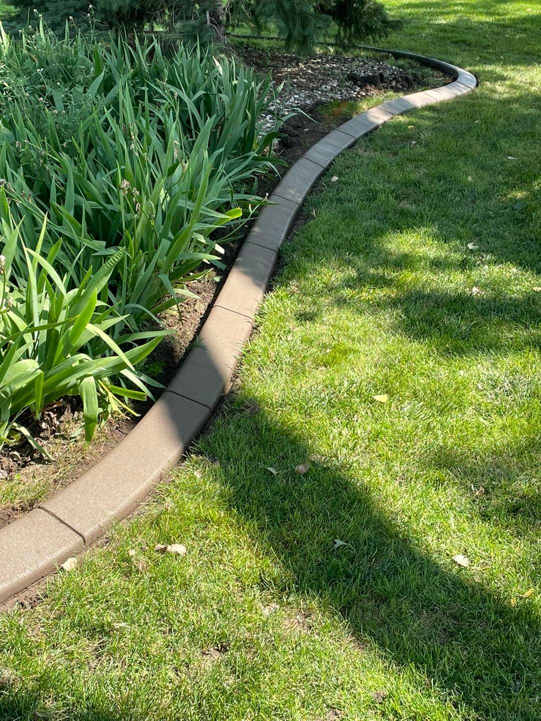 Curved concrete edging separates a green lawn from a garden bed with tall green plants.