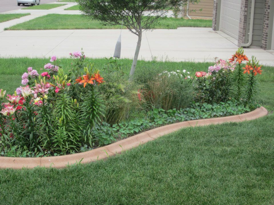 Flower bed with pink, orange, and white lilies, brown curb edging, and green grass.