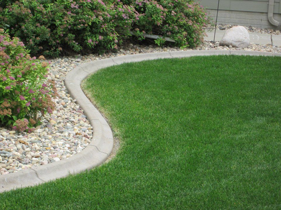 Lawn with curved concrete edging, separating green grass from a gravel bed with shrubs.