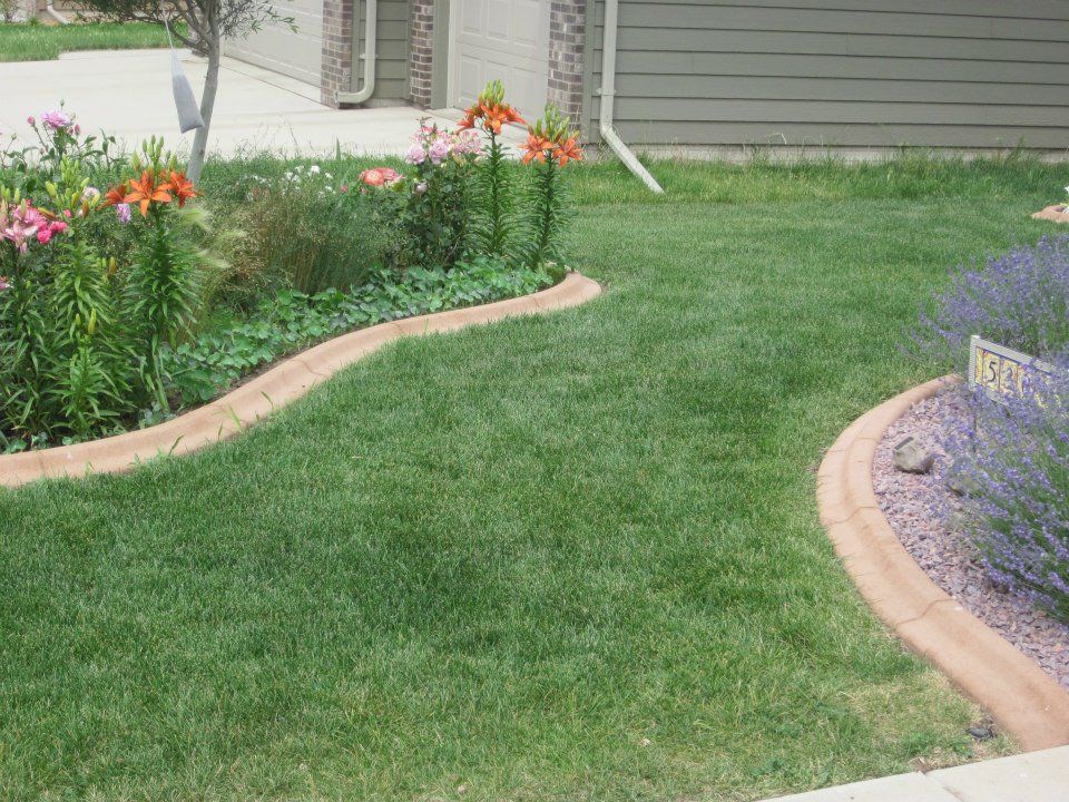 Lush green lawn with curved concrete edging, bordering flowerbeds with orange and pink lilies.
