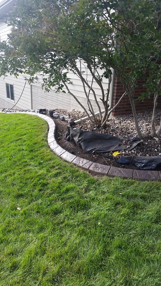 Green lawn curving around a landscaped bed with dark-colored stone edging and a small tree.