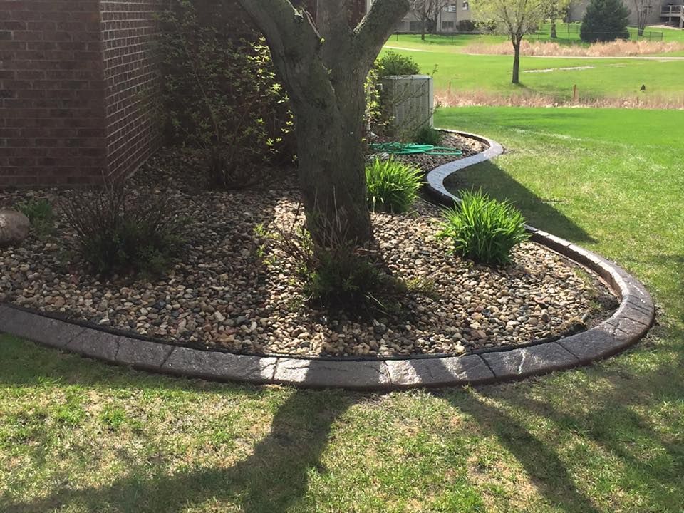 Curved concrete border edging a tree and garden bed on a lawn.