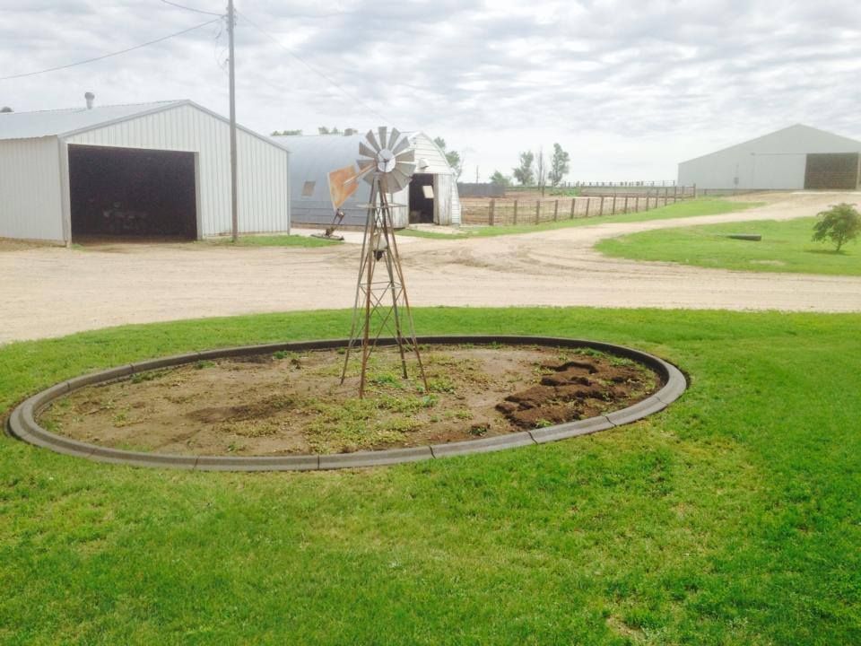 A vintage metal windmill stands in a circular garden bed on a rural property with gravel paths and white metal outbuildings.